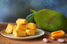 Jackfruit: ছানি, ক্যানসার-সহ একাধিক রোগ প্রতিহত করে ‘সুপারফুড’ কাঁঠাল Jackfruit: ছানি, ক্যানসার-সহ একাধিক রোগ প্রতিহত করে ‘সুপারফুড’ কাঁঠাল