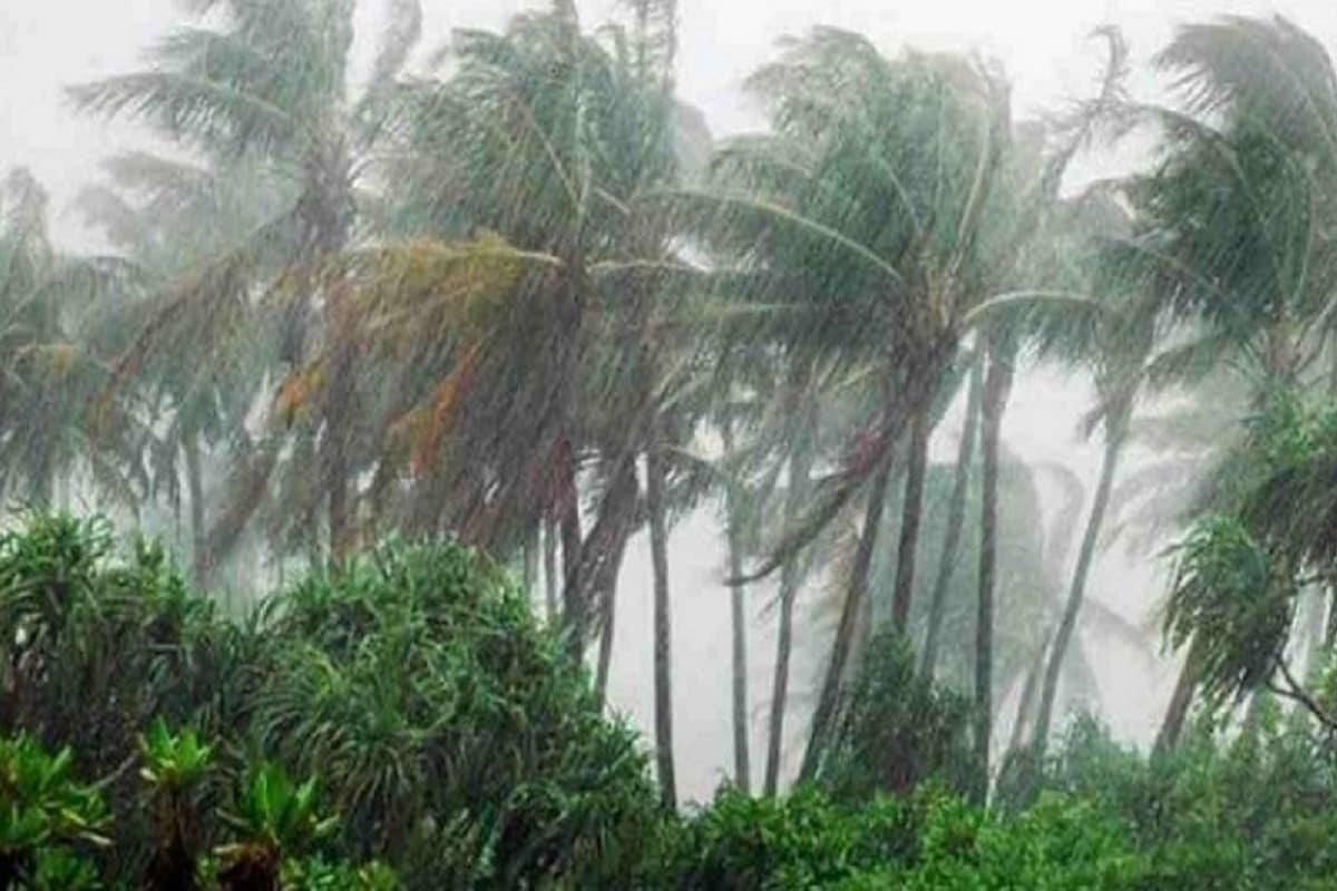 • গত কয়েকদিন ধরেই প্রচণ্ড গরমে কাহিল অবস্থা রাজ্যবাসীর । তবে বিকেলের পর থেকে বিক্ষিপ্ত ঝড়বৃষ্টিও হচ্ছে কোথাও কোথাও । তাতে রাতের দিকে কিছুটা ঠান্ডা হলেও সকাল থেকে ভ্যাপসা গরমে প্রাণ ওষ্ঠাগত হয়ে যাচ্ছে । আলিপুর হাওয়া অফিস জানাচ্ছে, বঙ্গোপসাগরে তৈরি হওয়া এই নিম্নচাপের হাত ধরেই বর্ষা ঢুকবে রাজ্যে । শুক্রবার থেকেই রাজ্যে শুরু হতে পারে নিম্নচাপের বর্ষণ । • গত কয়েকদিন ধরেই প্রচণ্ড গরমে কাহিল অবস্থা রাজ্যবাসীর । তবে বিকেলের পর থেকে বিক্ষিপ্ত ঝড়বৃষ্টিও হচ্ছে কোথাও কোথাও । তাতে রাতের দিকে কিছুটা ঠান্ডা হলেও সকাল থেকে ভ্যাপসা গরমে প্রাণ ওষ্ঠাগত হয়ে যাচ্ছে । আলিপুর হাওয়া অফিস জানাচ্ছে, বঙ্গোপসাগরে তৈরি হওয়া এই নিম্নচাপের হাত ধরেই বর্ষা ঢুকবে রাজ্যে । শুক্রবার থেকেই রাজ্যে শুরু হতে পারে নিম্নচাপের বর্ষণ ।