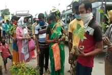 ছেলের জন্মদিনে সকলের হাতে গাছের চারা তুলে দিলেন বিশ্বাস দম্পতি