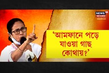 আমফানে পড়ে যাওয়া গাছ কোথায়? তিনদিনের মধ্যে রিপোর্ট চাইলেন মুখ্যমন্ত্রী