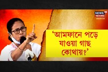 আমফানে পড়ে যাওয়া গাছ কোথায়? তিনদিনের মধ্যে রিপোর্ট চাইলেন মুখ্যমন্ত্রী আমফানে পড়ে যাওয়া গাছ কোথায়? তিনদিনের মধ্যে রিপোর্ট চাইলেন মুখ্যমন্ত্রী