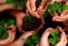World Environment Day 2021: প্রকৃতিকে সুস্থ রাখতে পারেন ঘরে বসেই, জেনে নিন