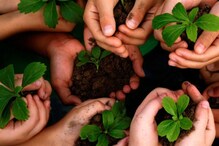 World Environment Day 2021: প্রকৃতিকে সুস্থ রাখতে পারেন ঘরে বসেই, জেনে নিন World Environment Day 2021: প্রকৃতিকে সুস্থ রাখতে পারেন ঘরে বসেই, জেনে নিন