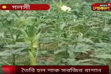 গোলসী পঞ্চায়েত সমিতির উদ্যোগে তৈরি হল শাক সবজির বাগান