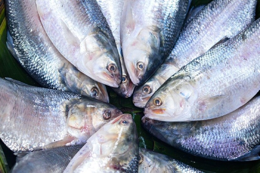 আমেরিকার জাতীয় মহাসাগর গবেষণা সংস্থা থেকে পাওয়া ১৯৯৮ থেকে ২০১৮ সাল পর্যন্ত তথ্য বিশ্লেষণ করে এই দাবি করেছেন চট্টগ্রাম বিশ্ববিদ্যালয়ের ইনস্টিটিউট অব মেরিন সায়েন্সেস এবং শাহজালাল বিজ্ঞান ও প্রযুক্তি বিশ্ববিদ্যালয়ের ওশানোগ্রাফি বিভাগের চারজন গবেষক। 