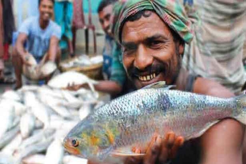 এমনকি স্ট্রোক, হার্ট অ্যাটাকের মতো প্রাণঘাতি সমস্যার ঝুঁকি কমাতেও সাহায্য করে বাঙালির (Bangla News)  ইলিশ! তাই ইলিশের গুণের কোনও শেষ নেই। যেমন তা স্বাদে তেমনই এর গুণাগুণ। তাই ইলিশ (Risk Factors of Eating Hilsa) খেয়ে দিব্যি ইলশেগুঁড়ি বৃষ্টি উপভোগ করে চলতে পারে বাঙালির জীবন।