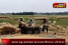 দ্বিগুণ করে টাকা পেলেন বীরভূমের 'কৃষক বন্ধু' চাষীরা