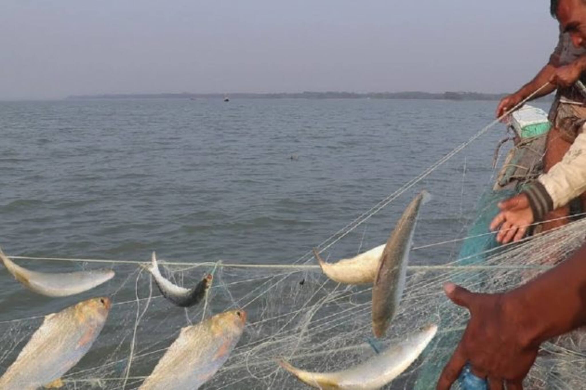 রুপোলি শস্যের খোঁজে সাগরে পাড়ি মৎস্যজীবীদের