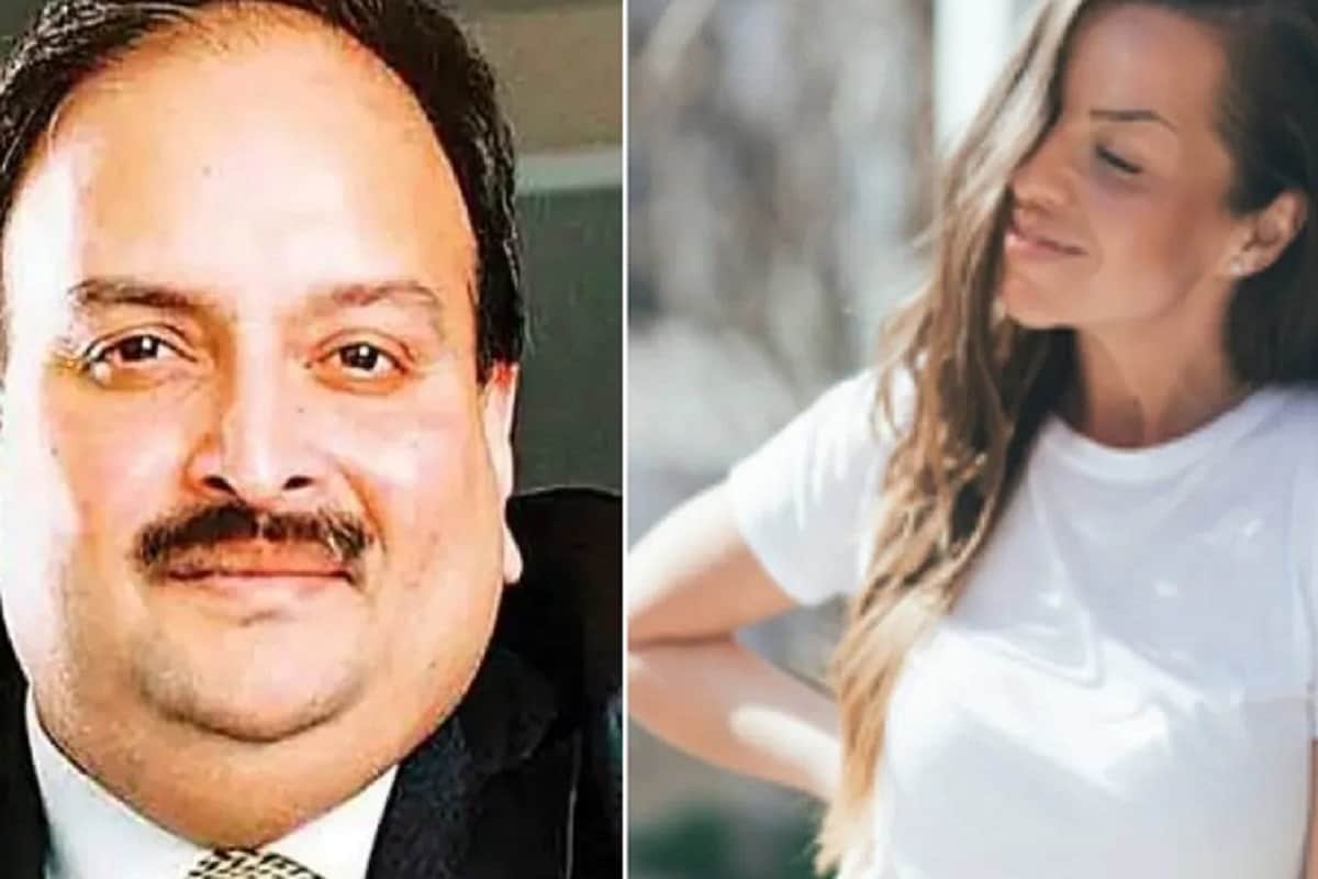 বারবার জানিয়েছেন, মেহুল তাঁর বাড়িতেও গিয়েছিল। এমনকী ডমিনিকাতে বারবারার হোটেলে থাকার খরচ, বিমানের ভাড়া সব কিছুই দিতে চেয়েছিল চোকসি। কিন্তু বারবারার দাবি, সেই প্রস্তাব ফিরিয়ে দেন তিনি। বারবারা দাবি করেছেন, তিনি আবাসনের ব্যবসার সঙ্গে যুক্ত। মেহুল হোটেল, ক্লাব খুলতে চেয়েছিল। সেই কারণেই বেশ কয়েক বার দেখা হয় তাঁদের। বারবার জানিয়েছেন, মেহুল তাঁর বাড়িতেও গিয়েছিল। এমনকী ডমিনিকাতে বারবারার হোটেলে থাকার খরচ, বিমানের ভাড়া সব কিছুই দিতে চেয়েছিল চোকসি। কিন্তু বারবারার দাবি, সেই প্রস্তাব ফিরিয়ে দেন তিনি। বারবারা দাবি করেছেন, তিনি আবাসনের ব্যবসার সঙ্গে যুক্ত। মেহুল হোটেল, ক্লাব খুলতে চেয়েছিল। সেই কারণেই বেশ কয়েক বার দেখা হয় তাঁদের।