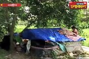 বাড়ি ভাড়া দিতে না পারায় তাঁত শ্রমিকের ঠাঁই হলো জঙ্গলের মধ্যে ঝুপড়িতে