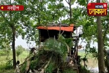 করোনা সংক্রমণ থেকে নিজেকে রক্ষা করতে গাছের ওপর ঘর বেঁধেছেন নবদ্বীপের সাধু