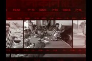 বনকর্মীদের সুরক্ষা, স্বাস্থ্য পরিষেবা দিতে নিজেরাই গঠন করলেন ওয়েলফেয়ার