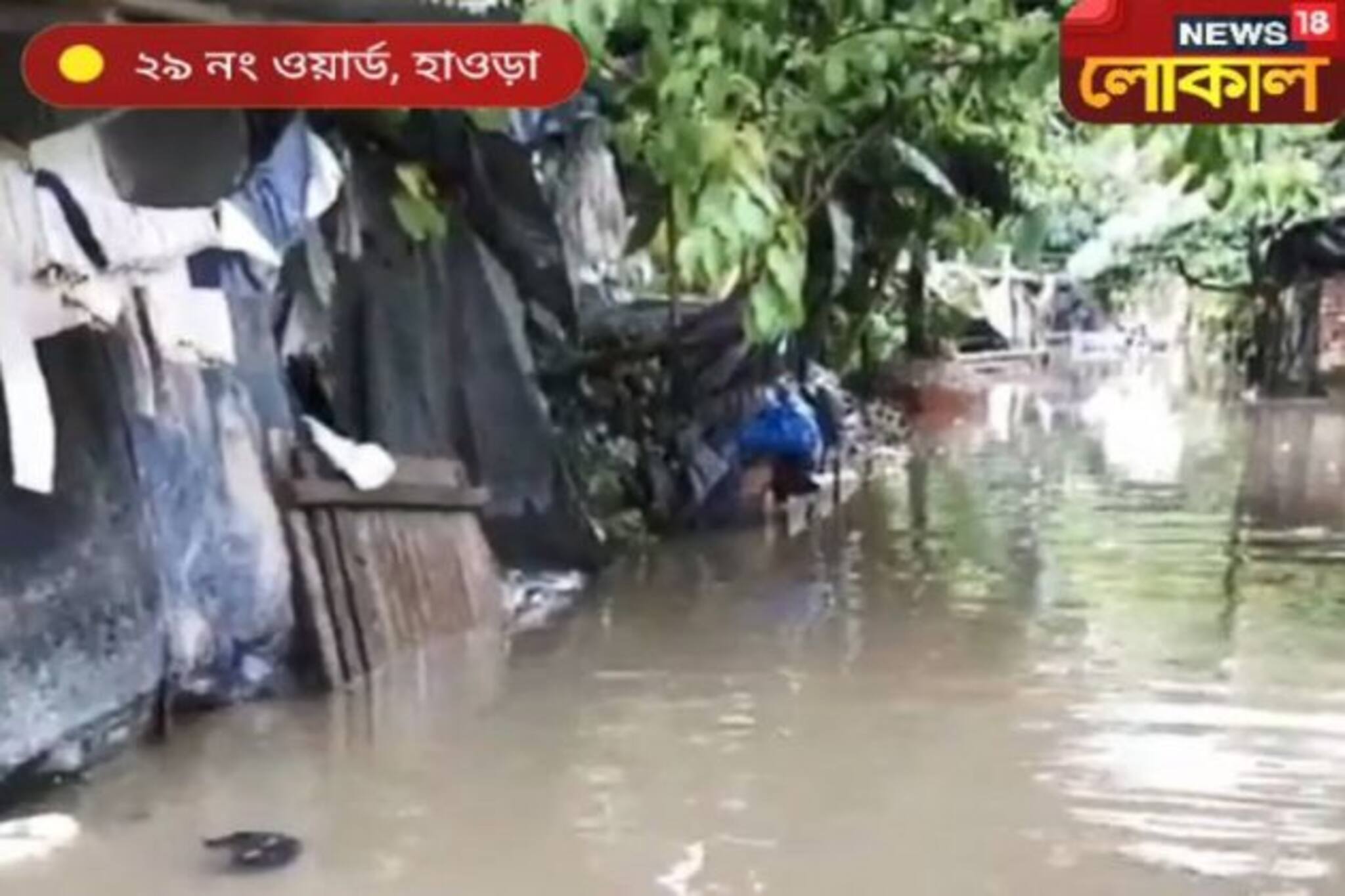 উদ্যোগী তৃণমূল নেতা! Boatএ করে বৃষ্টির জল জমা পৌর এলাকায় পৌঁছে দিচ্ছেন খাবার...