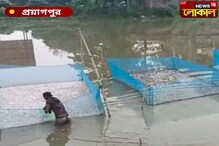 লক্ষাধিক টাকার মাছ চারায় বিষ মেশানোর অভিযোগ লক্ষাধিক টাকার মাছ চারায় বিষ মেশানোর অভিযোগ