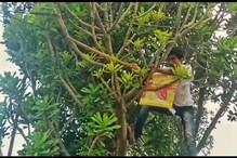 চিনা ঘুড়ির সুতোয় মুখ কেটে কৃষকের ক্ষতস্থানে ১১ টি সেলাই চিনা ঘুড়ির সুতোয় মুখ কেটে কৃষকের ক্ষতস্থানে ১১ টি সেলাই