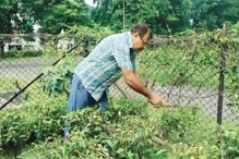 শিল্পাঞ্চলে চা বাগান, খনি অঞ্চলে জল সঙ্কট শিল্পাঞ্চলে চা বাগান, খনি অঞ্চলে জল সঙ্কট
