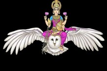 সবকিছু ছেড়ে পেঁচা কেন মা লক্ষ্মীর বাহন, রয়েছে গূঢ় কারণ, জানুন পৌরাণিক গল্প সবকিছু ছেড়ে পেঁচা কেন মা লক্ষ্মীর বাহন, রয়েছে গূঢ় কারণ, জানুন পৌরাণিক গল্প