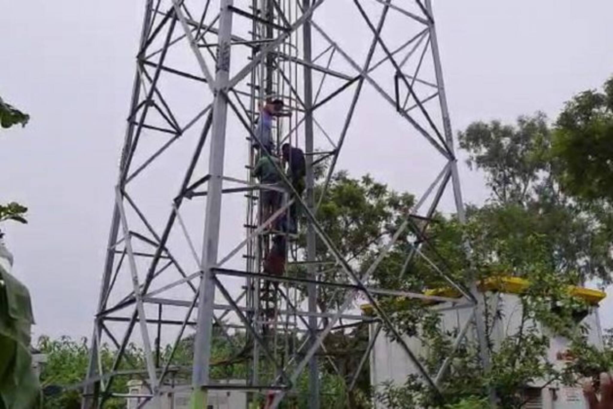 Burdwan: প্রেমে বাধা পেয়ে মোবাইল টাওয়ারের মাথায় উঠে বসল যুবক! নামাতে কালঘাম ছুটল পুলিশের