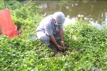 বিজ্ঞান মঞ্চ, SFI,DYFI, রেড ভলেন্টিয়ার্সদের উদ্যোগে জাতীয় অরণ্য সপ্তাহ পালন বিজ্ঞান মঞ্চ, SFI,DYFI, রেড ভলেন্টিয়ার্সদের উদ্যোগে জাতীয় অরণ্য সপ্তাহ পালন