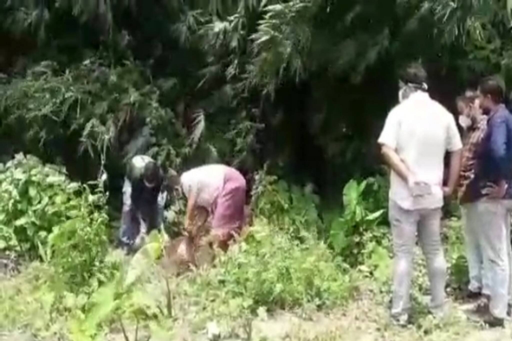 এক মাস পর কবর থেকে বালকের দেহ তুলে, খুনের ঘটনার তদন্ত শুরু পুলিশের