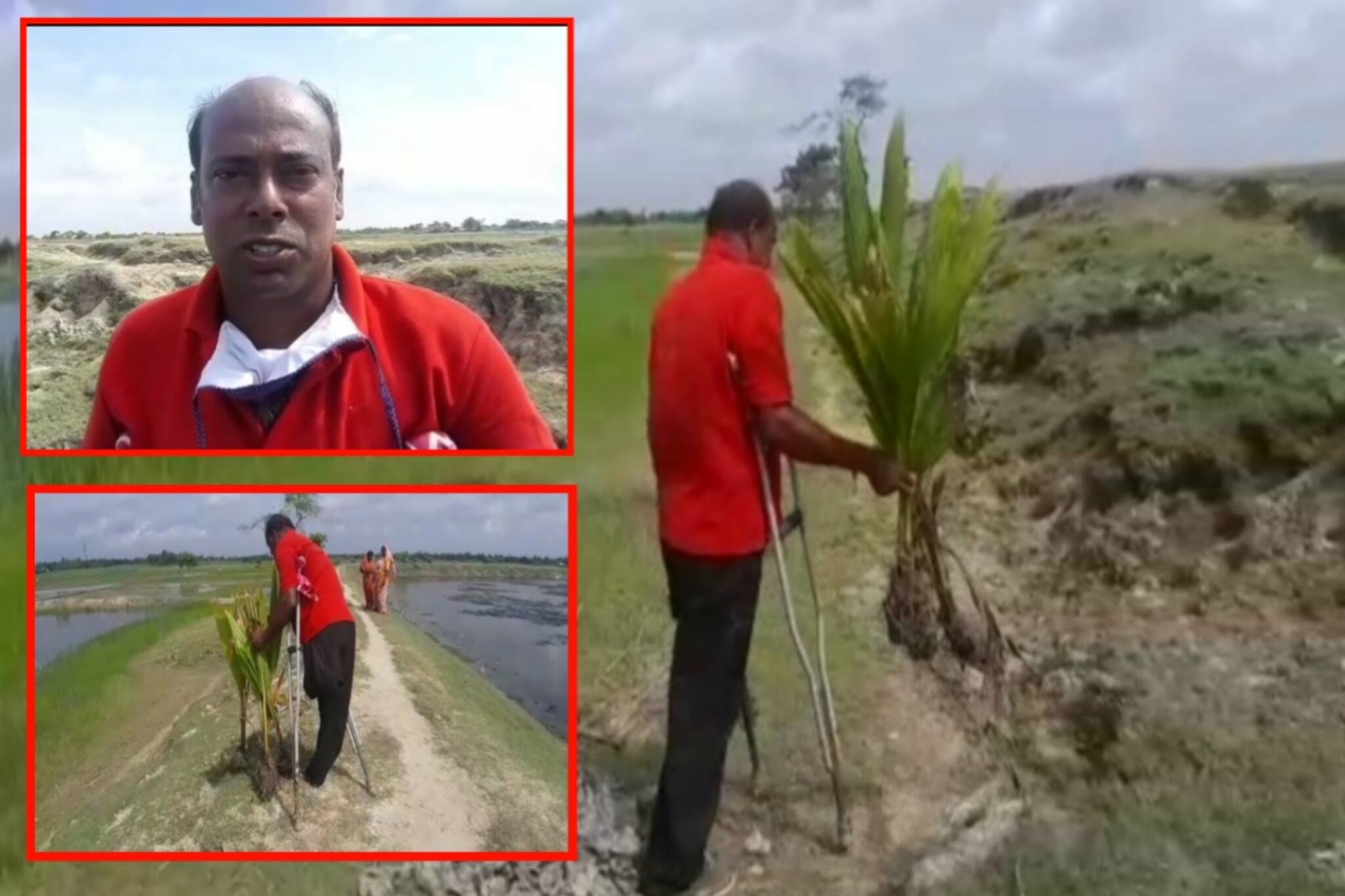 সুন্দরবনে বজ্রপাত রোধে ও প্রাকৃতিক ভারসাম্য রক্ষার্থে কাজ করছেন প্রতিবন্ধী 'কোকোনাট ম্যান' সুকুমার