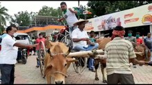 নদিয়া জেলার আজ সারাদিনের সমস্ত খবর দেখুন একনজরে