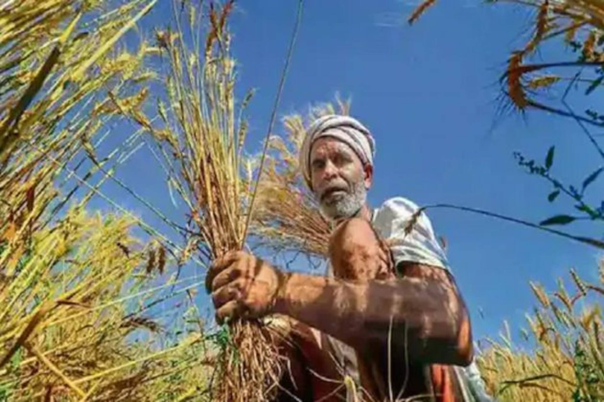 অগাস্টে অ্যাকাউন্টে চলে আসবে ২ লক্ষ ২৫ হাজার টাকা! দেখে নিন কীভাবে