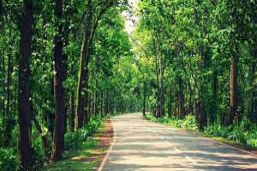 স্থানীয়রা জানান, কাছাকাছি মিল না থাকায় বীরভূমের ইলামবাজার গিয়ে শুকানো বীজ পিষিয়ে তাঁদের তেল বের করে আনতে হয়। তবে এই তেল সরষের তেলের মতো দেখতে হলেও শীতকালে জমে সাদা হয়ে যায়। তেলের যথেষ্ট উগ্র গন্ধও রয়েছে। মহুয়া তেলই এখন ভরসা হয়ে উঠেছে জঙ্গলমহলের আদিবাসী সম্প্রদায়ের।