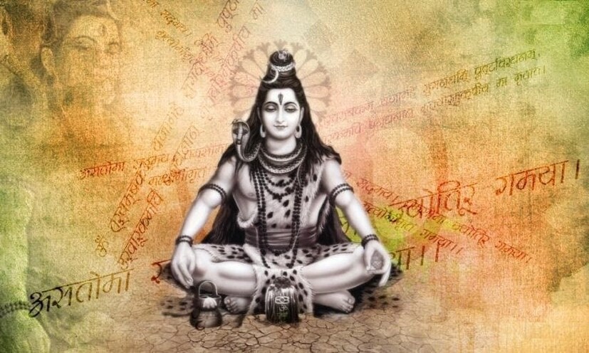• এই মাসে সাপ নিধন করবেন না ৷ এতে আপনার জীবনে অমঙ্গল নেমে আসতে পারে ৷