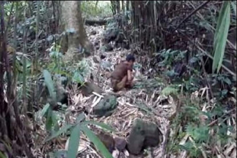 মহিলা কী, সেটা লাং জানেই না। সে শুধু জানে, এই দুনিয়ায় তাকে বাদ দিলে শুধু জঙ্গলের জানোয়াররা রয়েছে। তবে গত কয়েক বছর ধরে একটি স্বেচ্ছাসেবী সংস্থা তাকে জঙ্গল থেকে উদ্ধার করে কাছের একটি গ্রামে রাখার ব্যবস্থা করেছে। তবে লাং-এর সভ্য সমাজে মানিয়ে নিতে খুব অসুবিধা হচ্ছে।