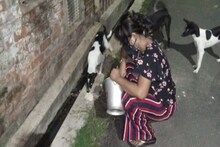 অবলা প্রাণীদের পাশে খড়দহের গৃহবধূ, ২০০-৩০০ কুকুর-বিড়ালকে রেঁধে খাওয়াচ্ছেন রোজ