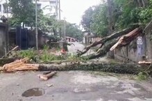 দু'দিনের দুর্যোগে রাজ্যে ১৬ জনের মৃত্যু! ক্ষতিপূরণের আশ্বাস নবান্নের... দু'দিনের দুর্যোগে রাজ্যে ১৬ জনের মৃত্যু! ক্ষতিপূরণের আশ্বাস নবান্নের...