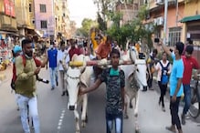 মূল্যবৃদ্ধির প্রতিবাদে গরুর গাড়িতে চেপে বিক্ষোভ মদন মিত্রের মূল্যবৃদ্ধির প্রতিবাদে গরুর গাড়িতে চেপে বিক্ষোভ মদন মিত্রের