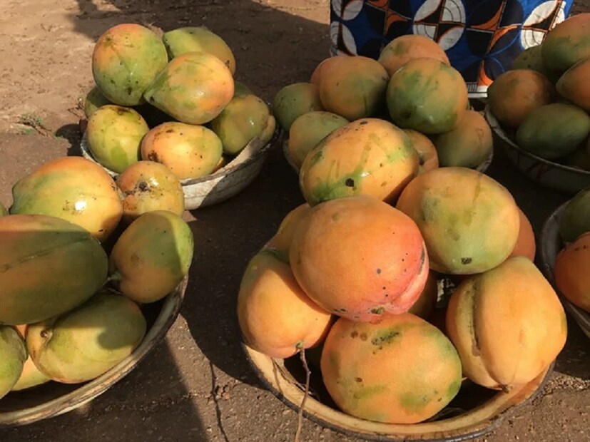 স্বাদ - কার্বাইড দিয়ে পাকানো আম খাওয়ার সময় ঝাঁঝালো স্বাদ অনুভব করবেন। এই আম খেলে পেট ব্যথা, ডায়রিয়ার মতো সমস্যা হতে পারে।