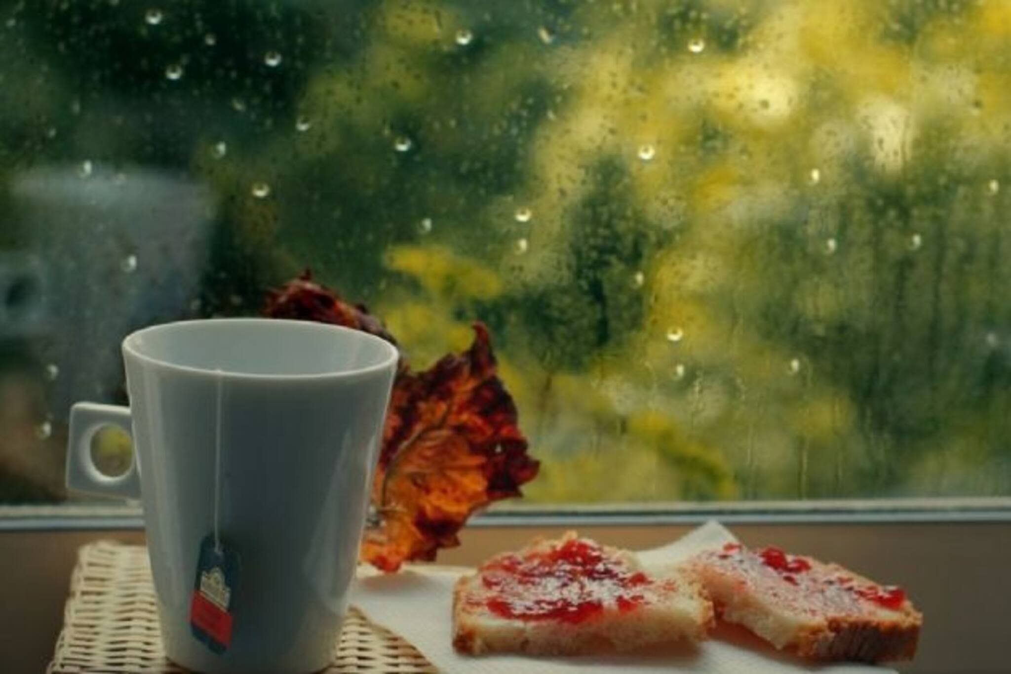 Diet During Monsoon: উপভোগ করুন বৃষ্টি, বর্ষায় সুস্থ থাকতে কী খাবেন আর কী খাবেন না?