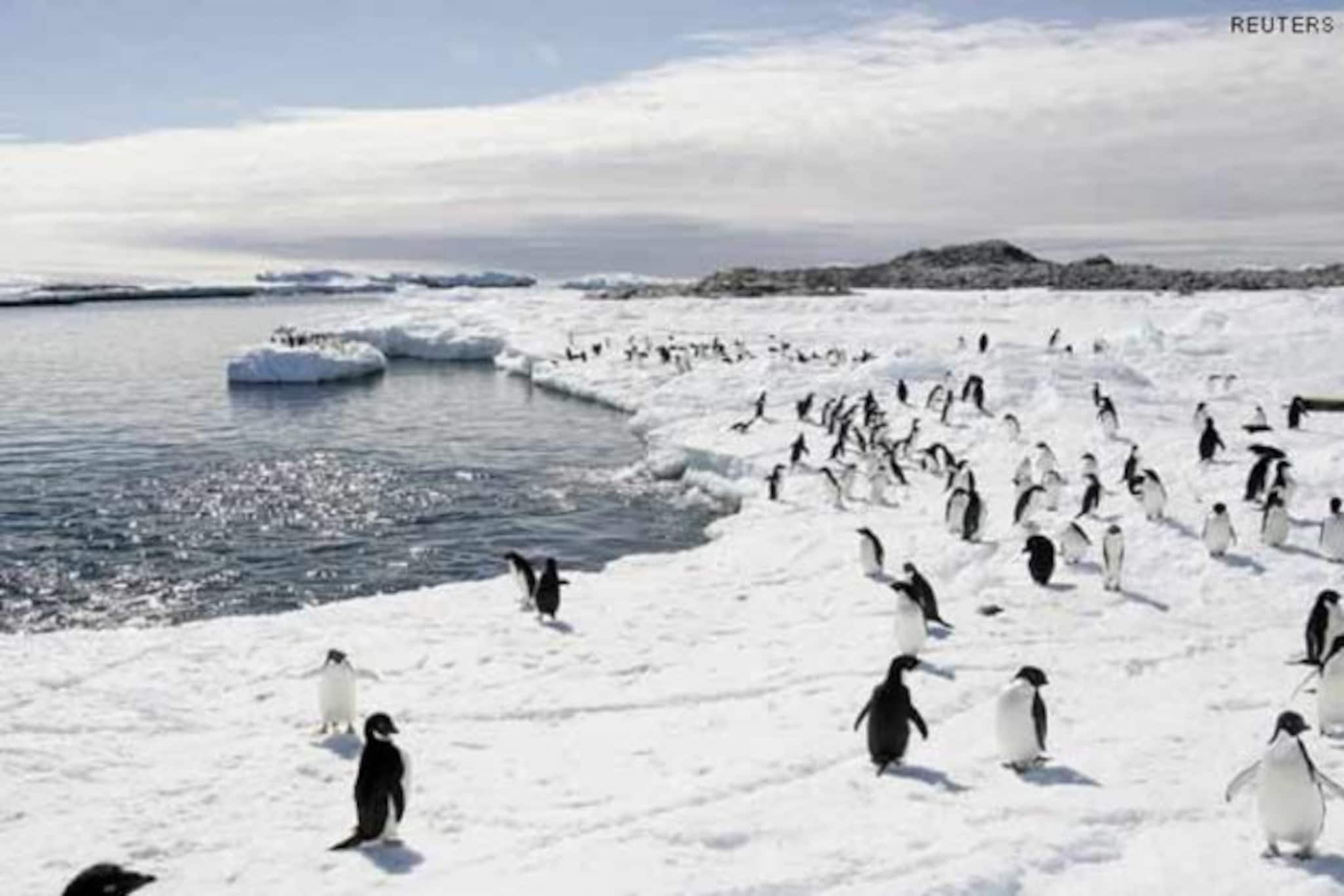 অ্যান্টার্কটিকায় রেকর্ড গরম ! সর্বোচ্চ তাপমাত্রা উঠল ১৮.৩ ডিগ্রি সেলসিয়াস