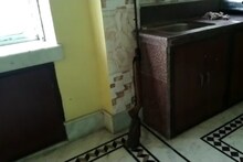 গোখাদ্য রপ্তানির আড়ালে জঙ্গিদের আর্থিক ও লজিস্টিক সাপোর্ট দিত বারাসতের লালু সেন