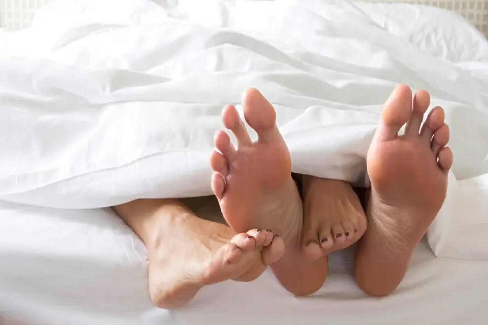 অনলাইনে ক্লাস চলাকালীন ক্যামেরা অন রেখেই উদ্যাম সঙ্গম! মুহূর্তে ভাইরাল ভিডিও...