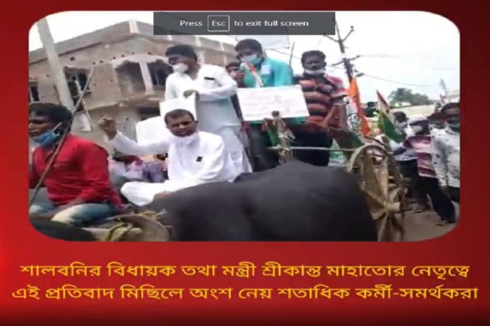 পেট্রোল-ডিজেলের মূল্যবৃদ্ধির প্রতিবাদে শালবনির পিড়াকাটায় গরুর গাড়িতে প্রতিবাদ মিছিল তৃণমূলের।