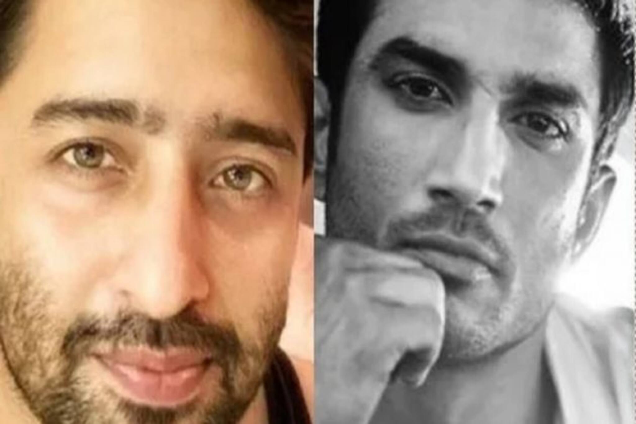 Pavitra Rishta 2.0: অঙ্কিতা আছেন তাঁর চরিত্রেই, সুশান্তের জায়গা নিচ্ছেন শাহির