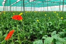 গ্রামের মানুষকে স্বাবলম্বী করতে চাইছে দুর্গাপুরের বেসরকারি সংস্থা