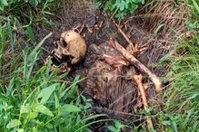 ঝোপের ভিতর উদ্ধার মহিলার কঙ্কাল! করোনায় মৃতকে পুড়িয়ে ফেলা? ঝোপের ভিতর উদ্ধার মহিলার কঙ্কাল! করোনায় মৃতকে পুড়িয়ে ফেলা?