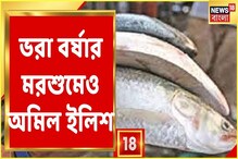 ভিডিও: ভরা শ্রাবণেও ইলিশ অধরা, কী বলছেন মাছ ব্যবসায়ীরা? ভিডিও: ভরা শ্রাবণেও ইলিশ অধরা, কী বলছেন মাছ ব্যবসায়ীরা?