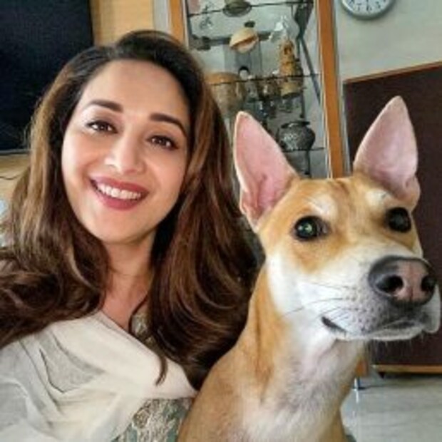 প্রিয় পোষ্যের সঙ্গে মাধুরী দীক্ষিতের সেলফি সেশন...