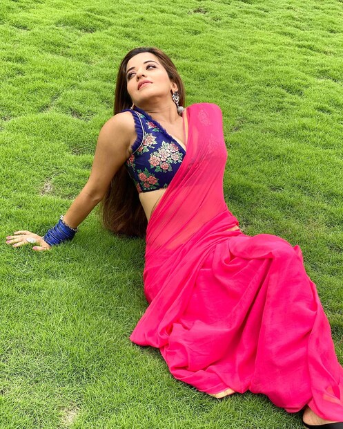 মোনালিসার প্রতি ছবি তোলপাড় করেছে সোশ্যাল মিডিয়া ৷ ছবি সৌজন্যে ফেসবুক ৷