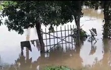 দামোদরের তাণ্ডব- ভেসেছে ভাসাপুল, প্লাবিত বহু গ্রাম দামোদরের তাণ্ডব- ভেসেছে ভাসাপুল, প্লাবিত বহু গ্রাম