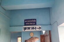 মিশ্র চাষে মৎস্যচাষীদের বাড়তি উপার্জনের পথ দেখাচ্ছে হলদিয়া মিশ্র চাষে মৎস্যচাষীদের বাড়তি উপার্জনের পথ দেখাচ্ছে হলদিয়া