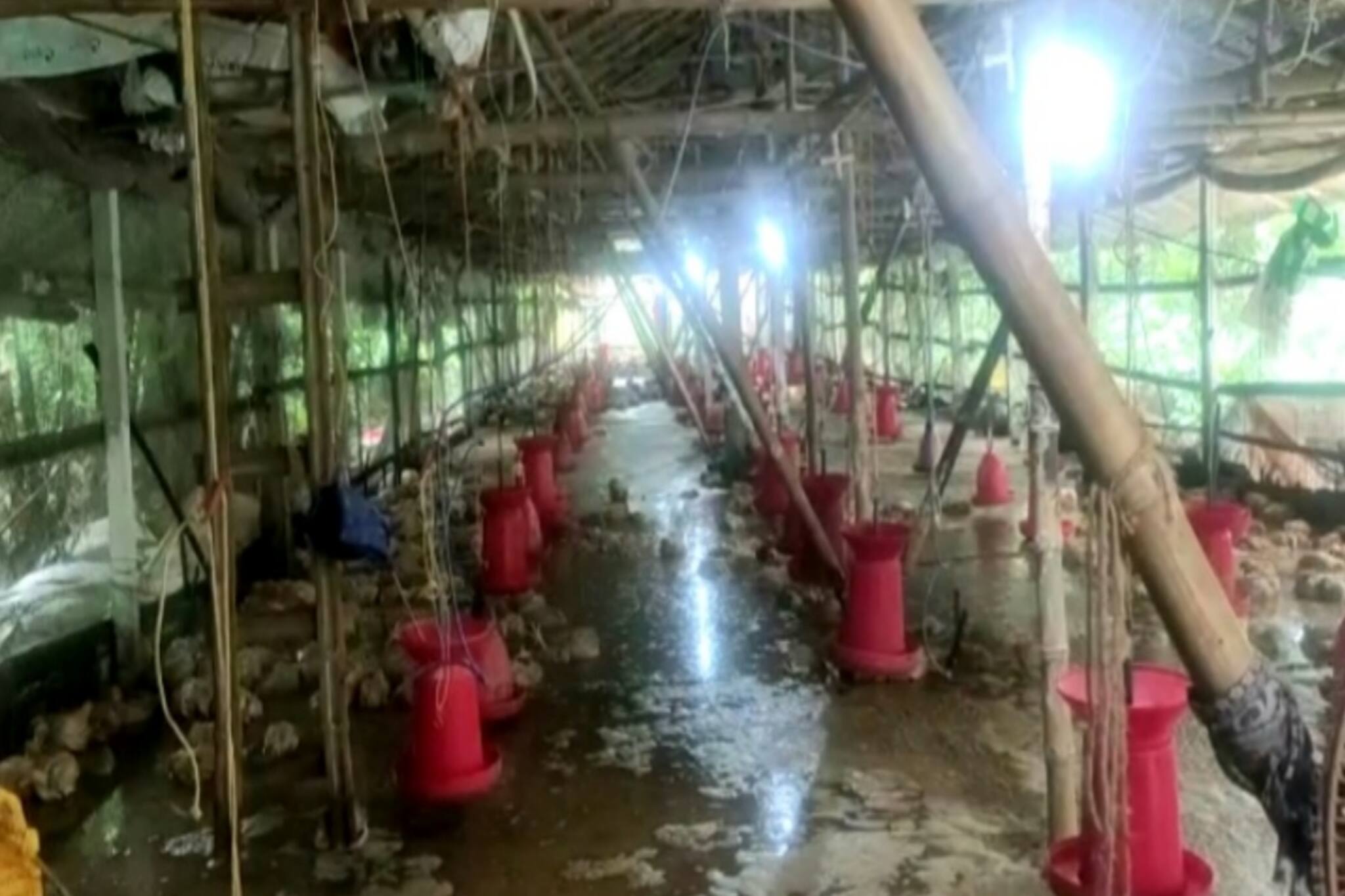 আজ সারাদিন দক্ষিণ ২৪ পরগনায়