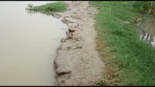 বাড়ছে ভাগীরথীর জলস্তর, আতঙ্কে এলাকার মানুষ বাড়ছে ভাগীরথীর জলস্তর, আতঙ্কে এলাকার মানুষ