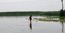 বেড়েছে ভাগীরথীর জল ভোগান্তি নদী পাড়ের বাসিন্দাদের বেড়েছে ভাগীরথীর জল ভোগান্তি নদী পাড়ের বাসিন্দাদের